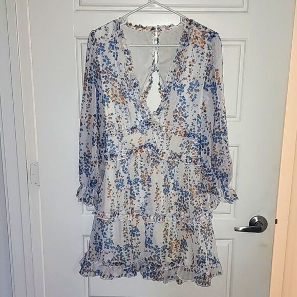 Dresses & Skirts - Floral Sheer Ruffle Mini Dress